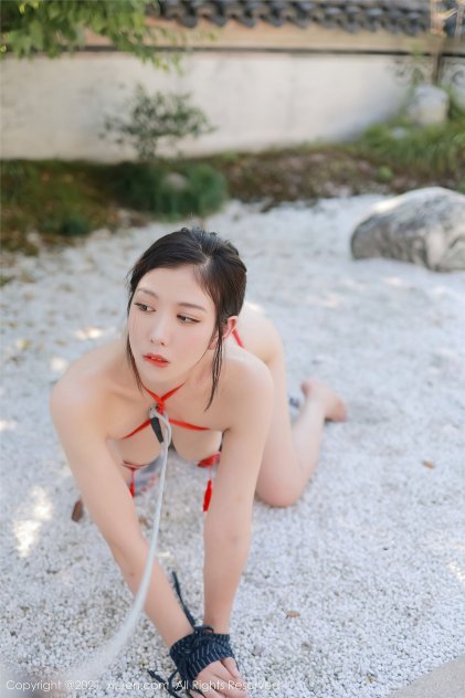 大香伊视频免费